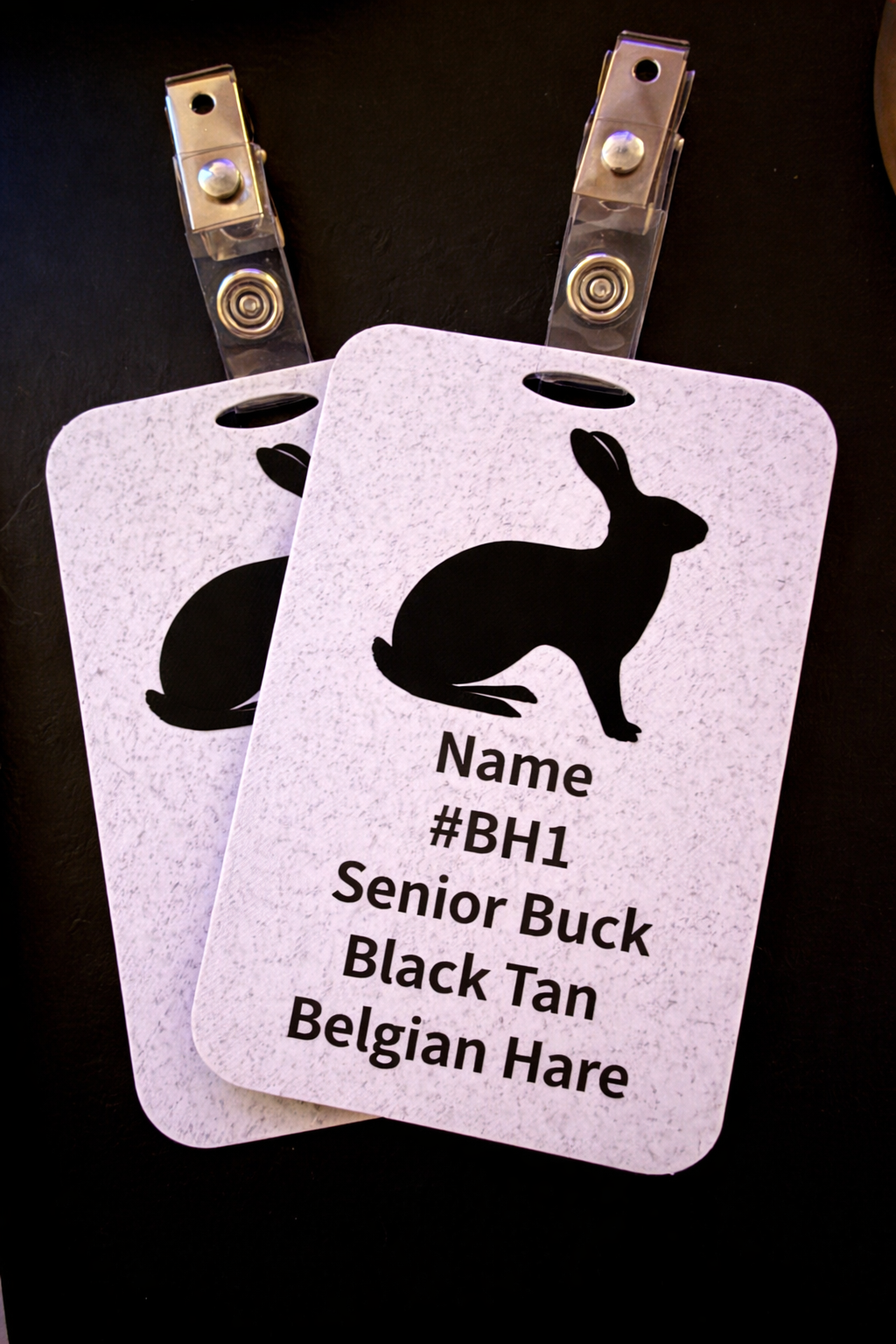 Close-up of Belgian Hare identification cage cards featuring custom design by HoneyBunny3D with detailed printed images.