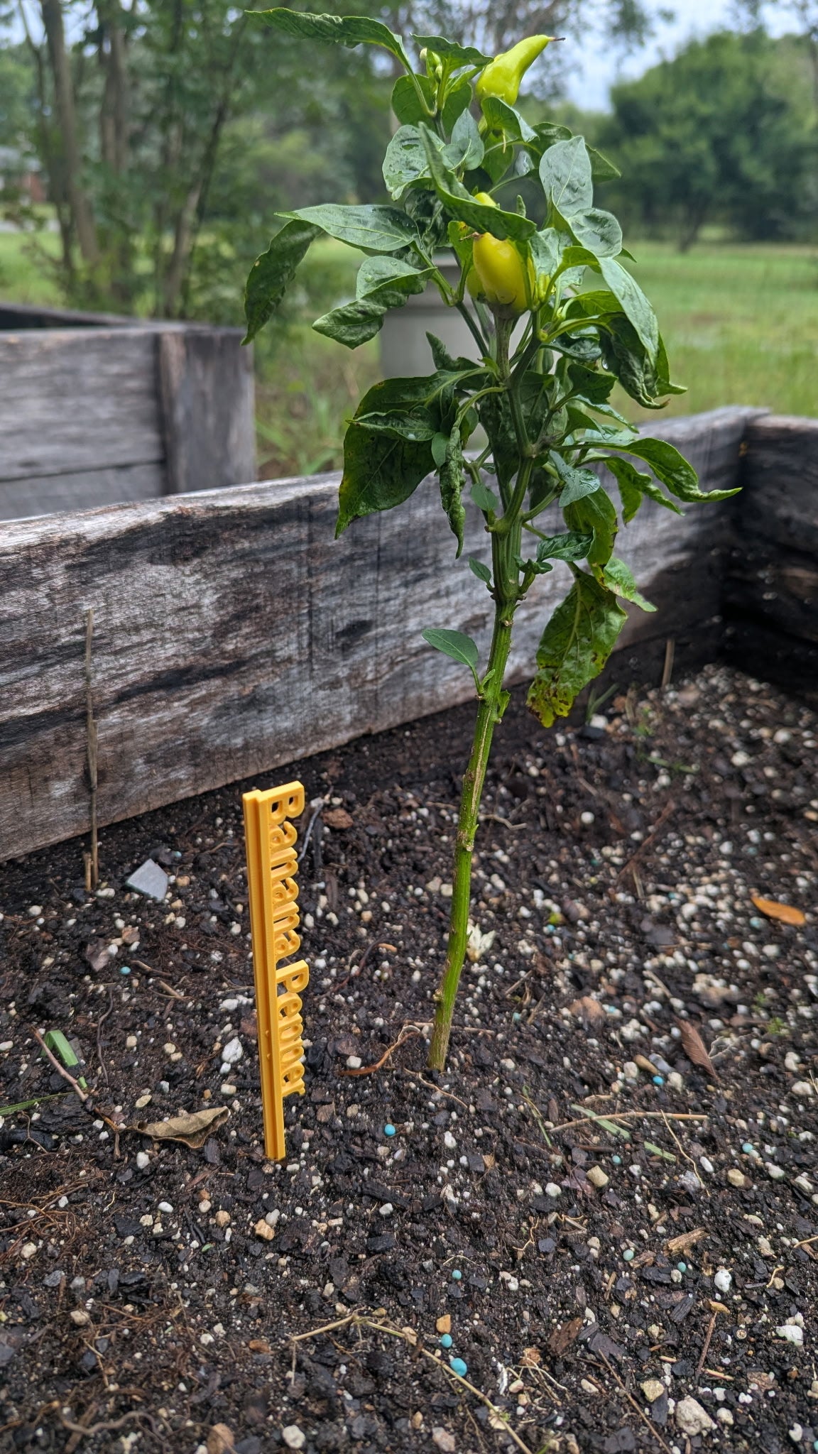 7in Garden Stakes - Set of 5