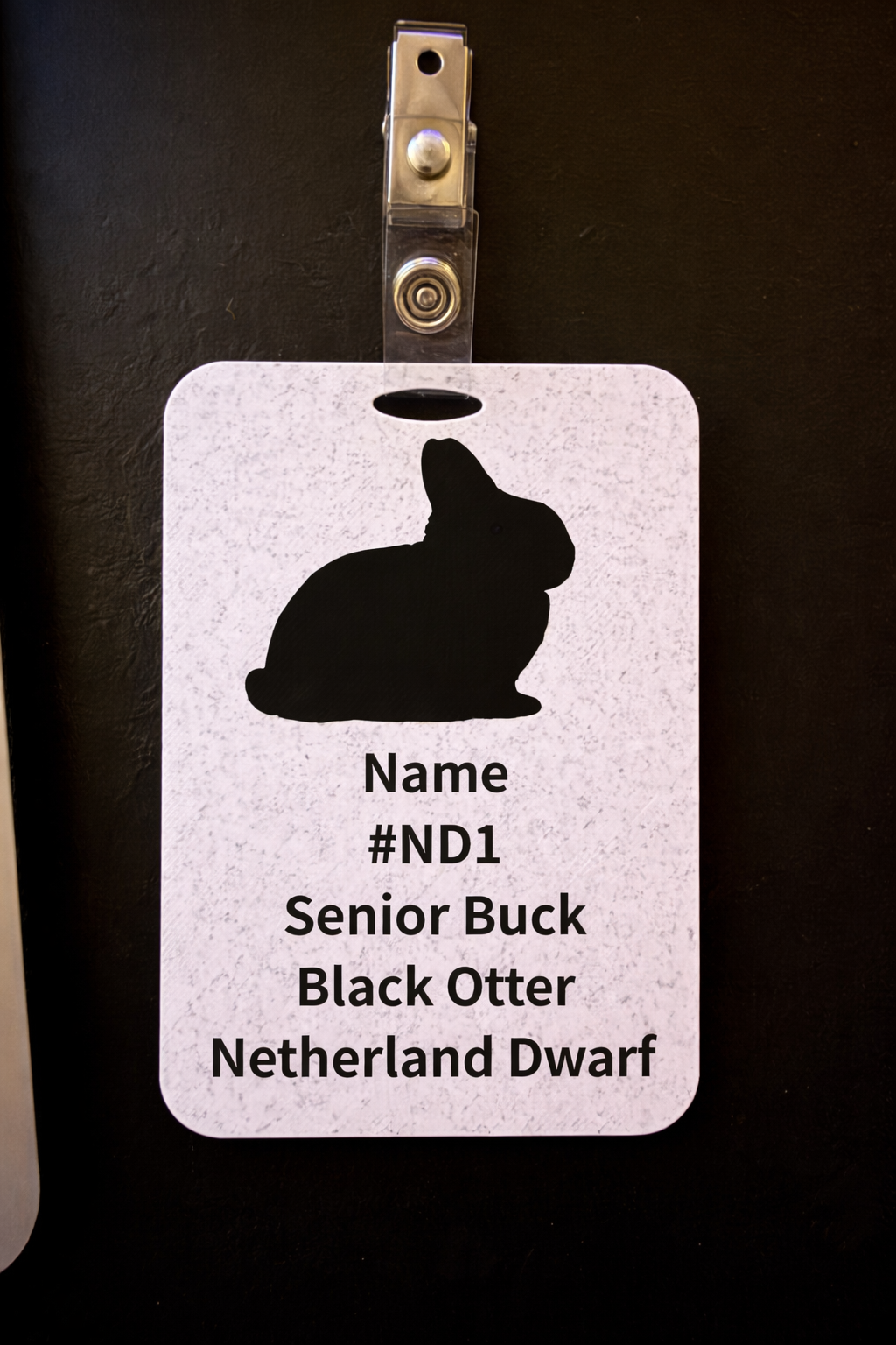 Custom cage cards from HoneyBunny3D featuring detailed, colorful designs for animal enclosures and pet identification.