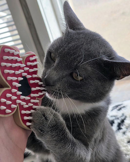 HoneyBunny3D Demogorgon pet brush with ergonomic handle and soft bristles for gentle grooming of pets.