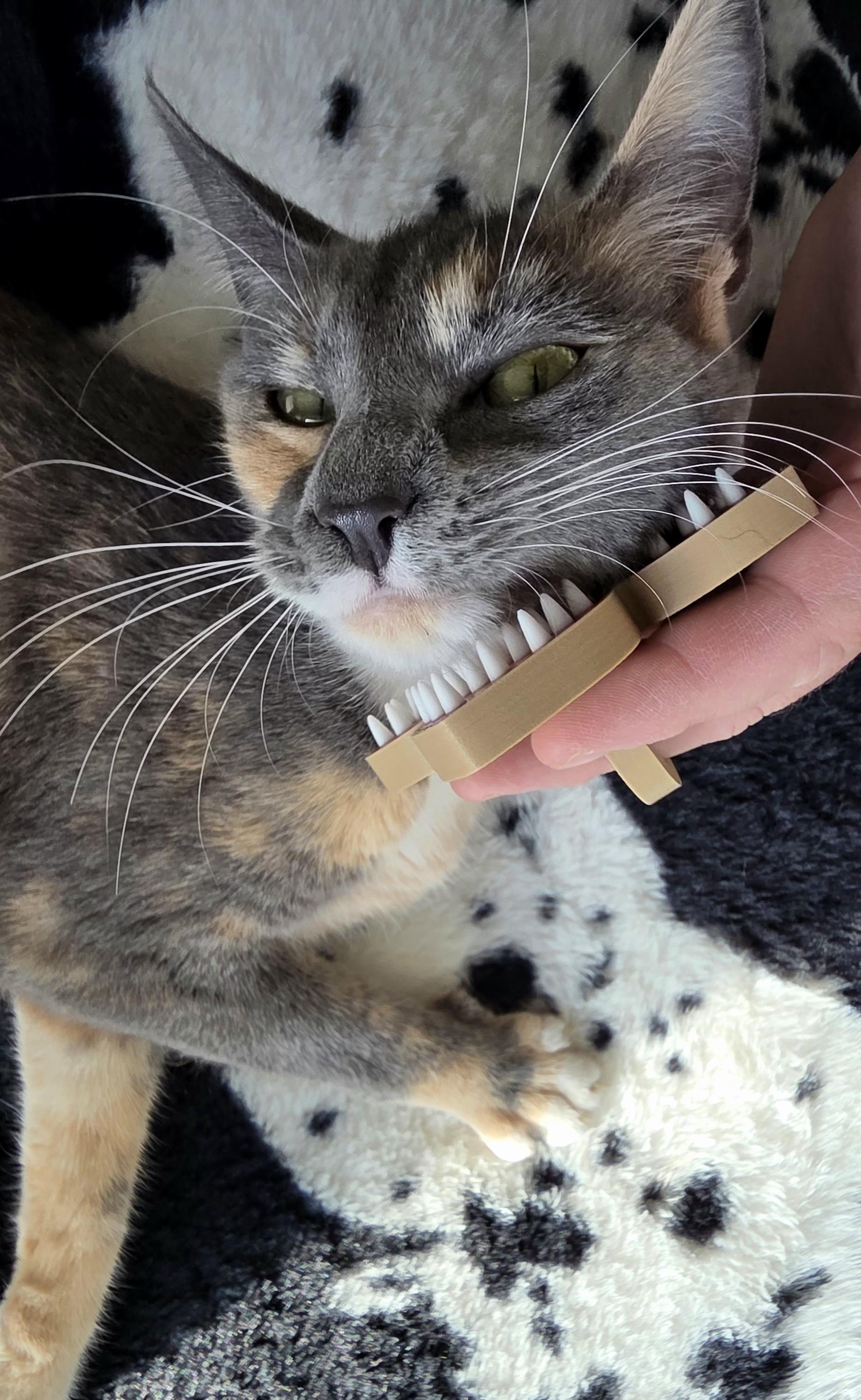 HoneyBunny3D Demogorgon Pet Brush with ergonomic handle and soft bristles for gentle grooming of pets.