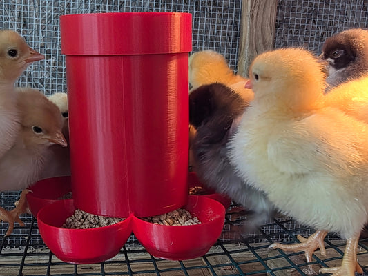 Small Chick Feeder by HoneyBunny3D, showing a clear plastic container with feeding holes for young poultry.
