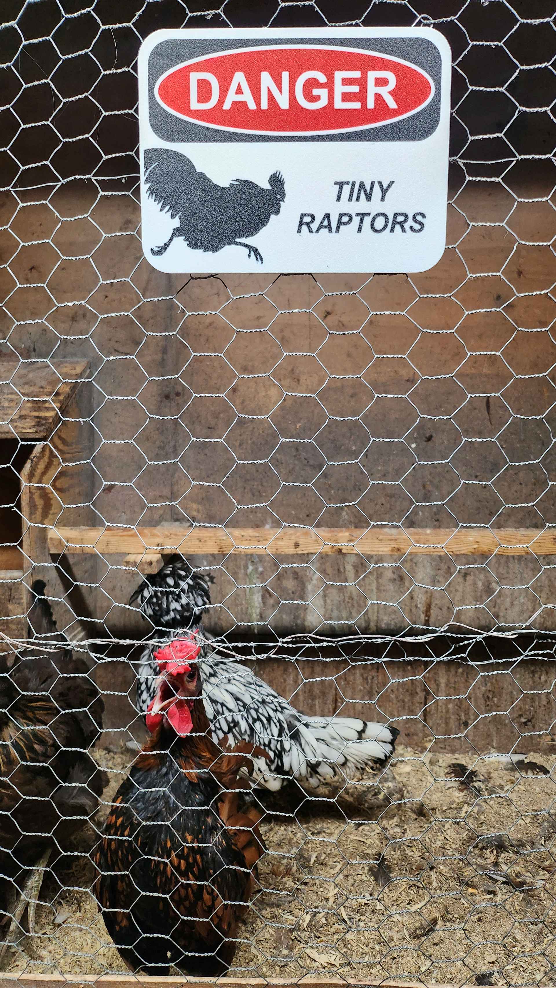 HoneyBunny3D Danger Tiny Raptors Sign featuring a playful warning sign with small raptor illustrations for safety or decoration.