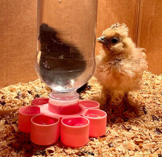 HoneyBunny3D Drinker Base for chicks and quail, durable plastic watering system with adjustable height for poultry.