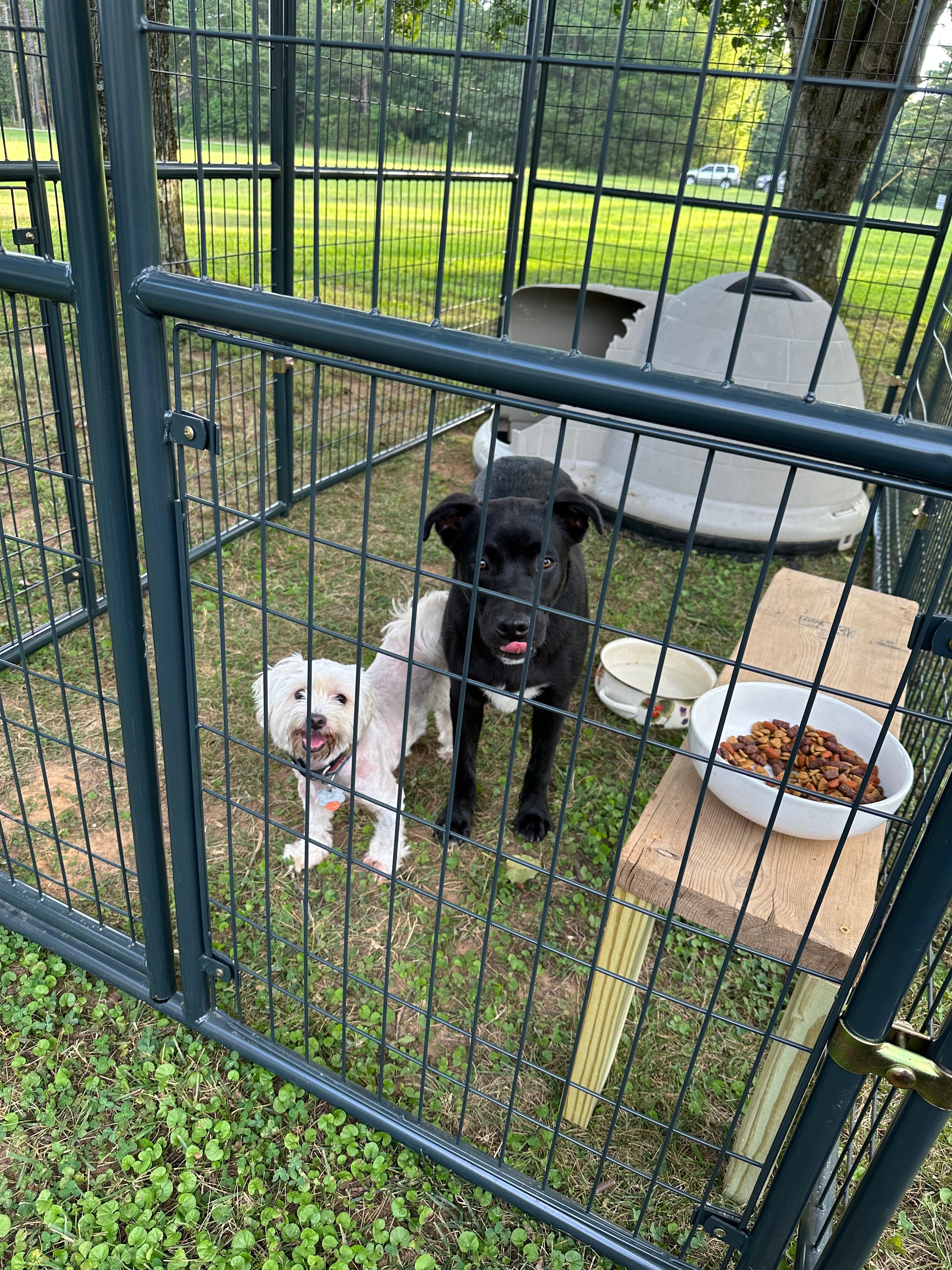 HoneyBunny3D replacement clamps brackets for Retriever dog outdoor kennel, shown attached to the 5x10 kennel frame.