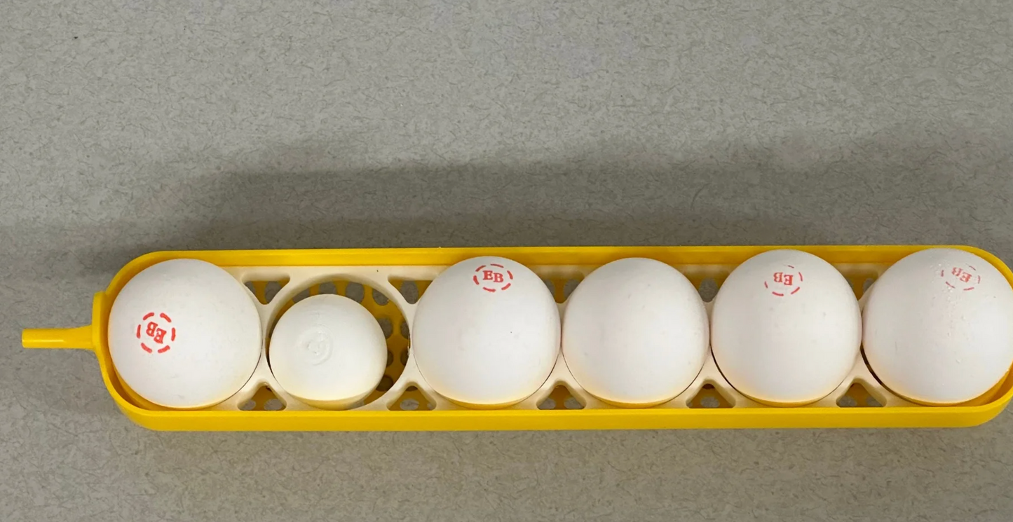 HoneyBunny3D Maticoopx 30 incubator tray for chicken eggs, designed for efficient egg incubation and hatchability.