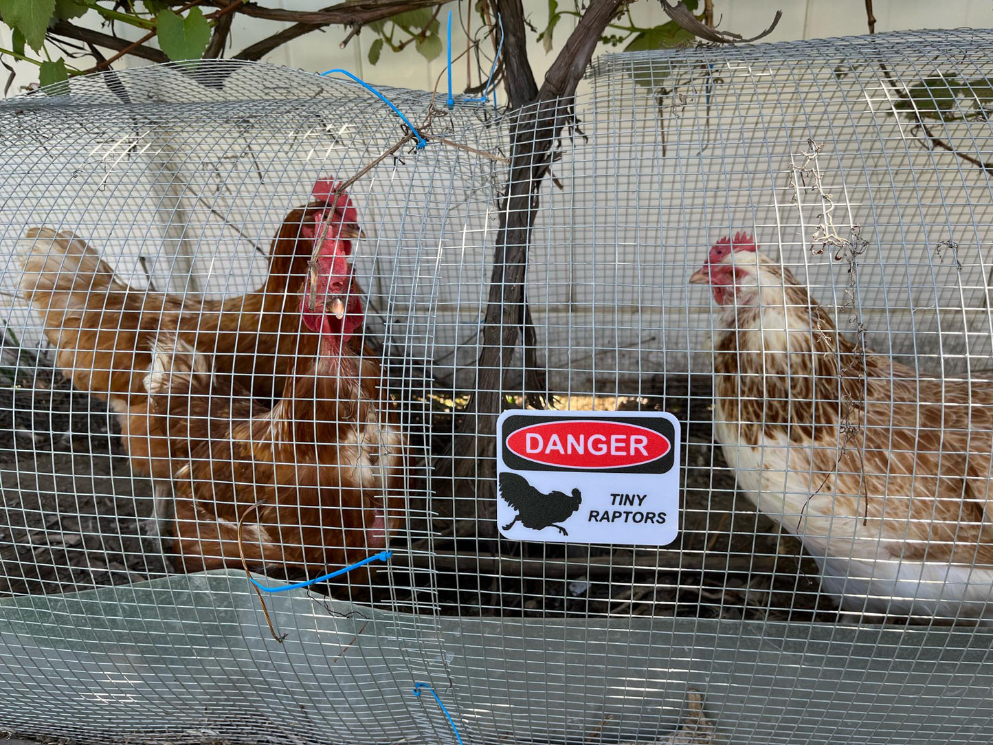 HoneyBunny3D Danger Tiny Raptors sign featuring small dinosaur illustrations on a warning safety sign design.